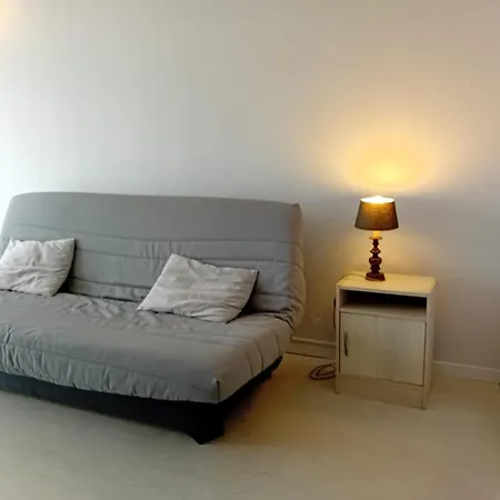 Avec Terrasse Et Parking à Deux Pas Des Plages - Fr-1-239-563 Appartement *
